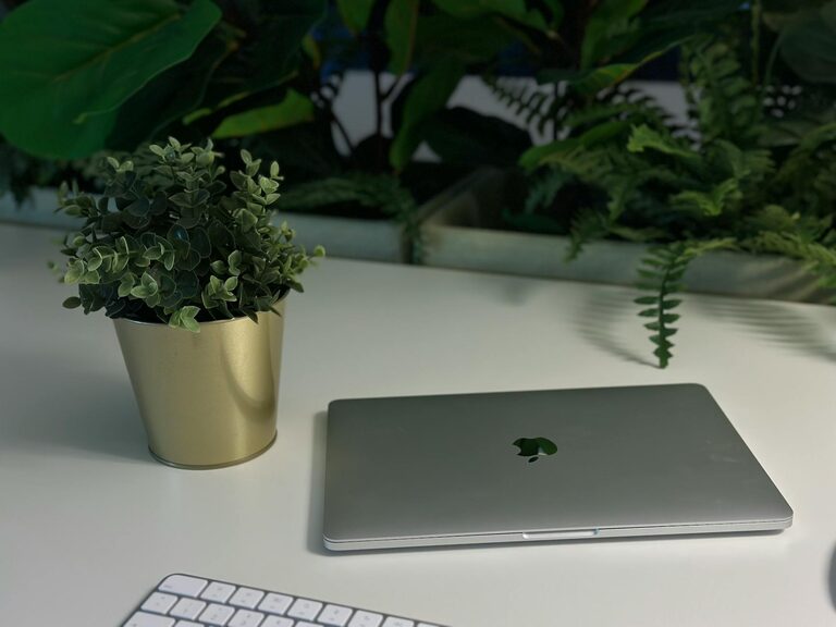 Easy Ways to Add Nature to Your Workspace for a Calmer Day
